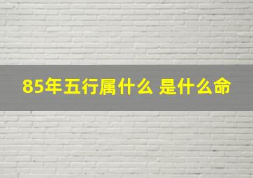 85年五行属什么 是什么命